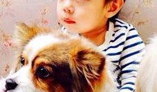 爆料狗带媳妇的视频大全,甜蜜瞬间尽收眼底