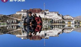 布达拉夫人在线观看,穿越时空的神秘之旅