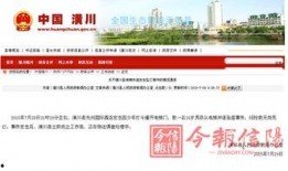 河南的爆料新闻最新消息,揭秘某重大事件背后真相